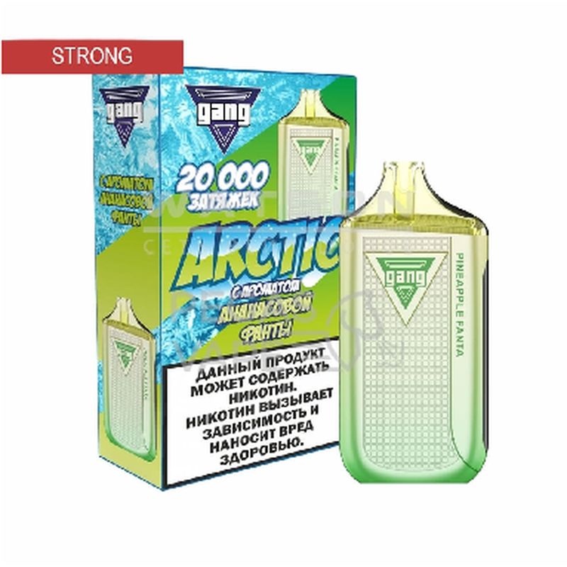 GANG ARCTIC